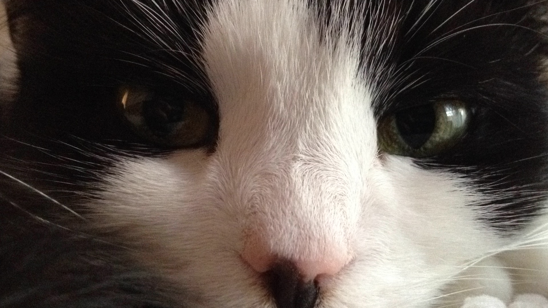 VÝPRODEJ OD BERUŠKY