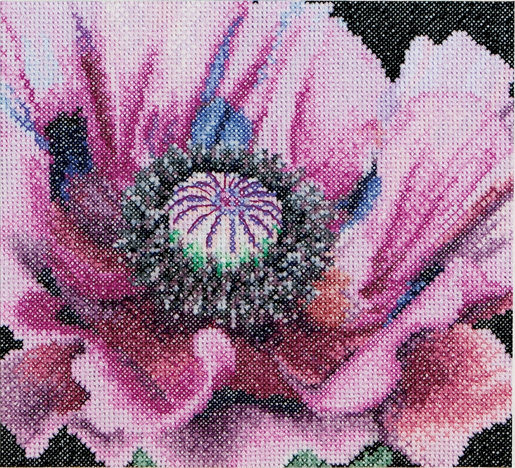THEA GOUVERNEUR POPPY