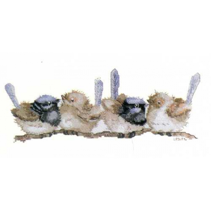 BlueWrens
