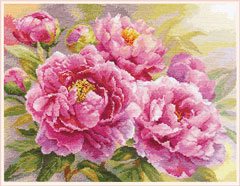 ALISA Peonies