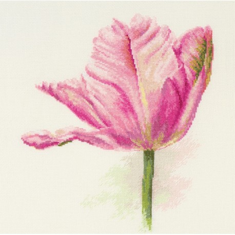 ALISA Tulips. Light pink