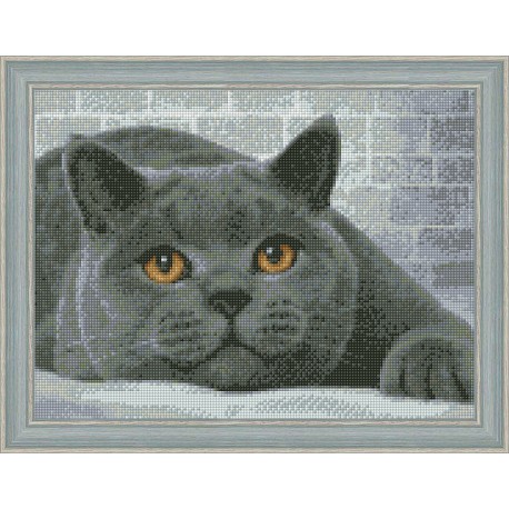 DIAMOND PAINTING BRITISH CAT