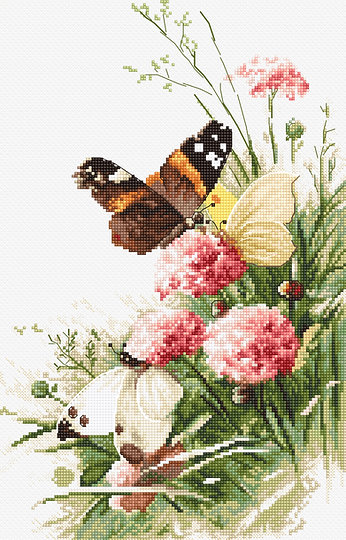 LETISTITCH Butterflies in the field