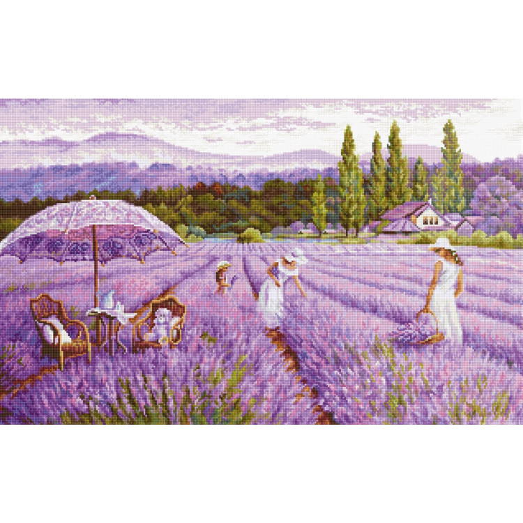 LUCA-S LAVENDER FIELD