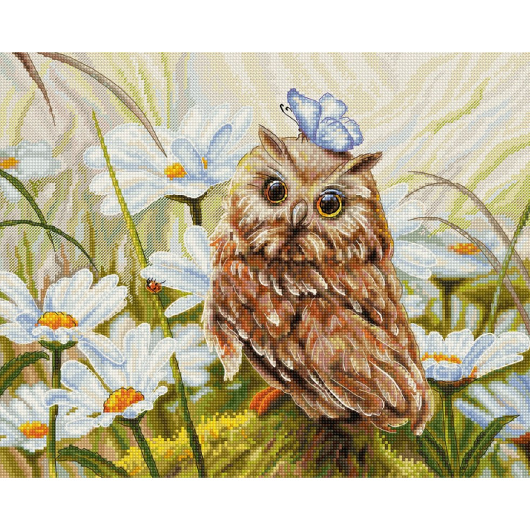 LUCA-S LUCKY OWL