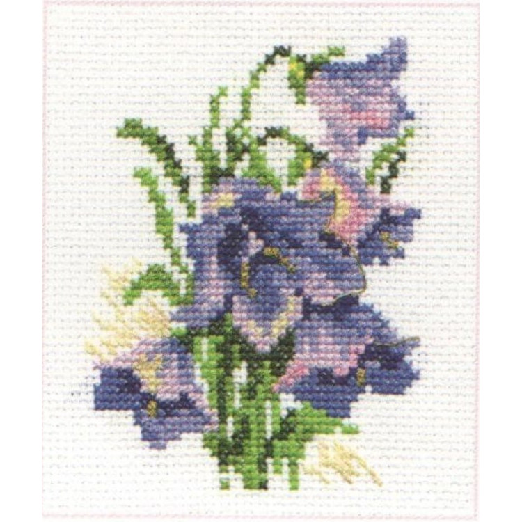 ALISA BLUEBELLS