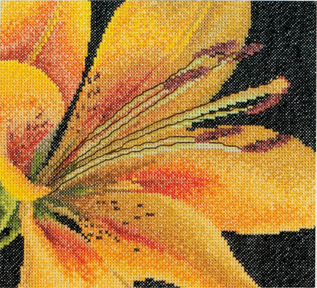 THEA GOUVERNEUR LILY