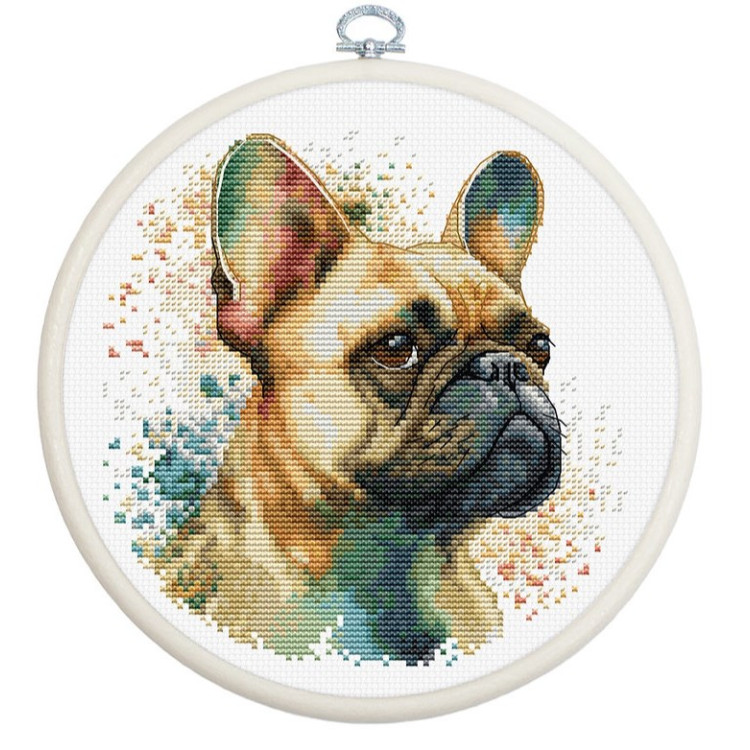 LUCA-S THE FRENCH BULLDOG