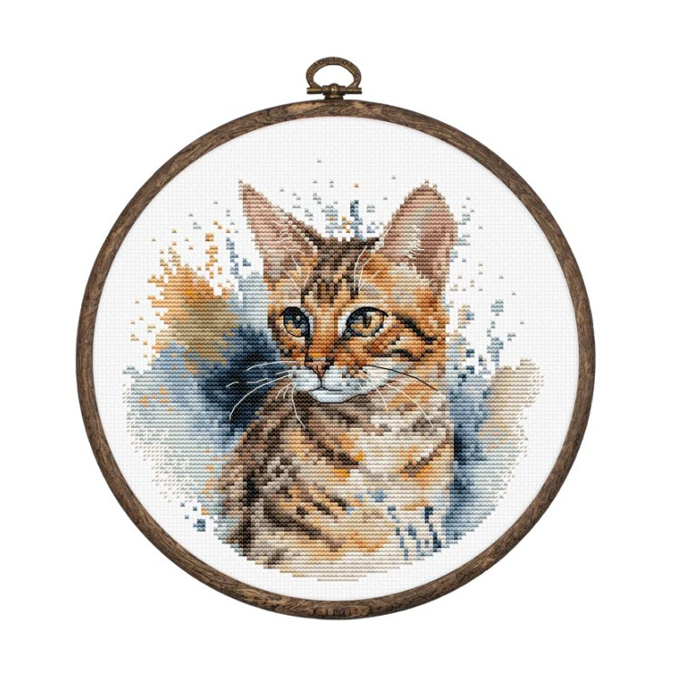 LUCA-S THE BENGAL CAT