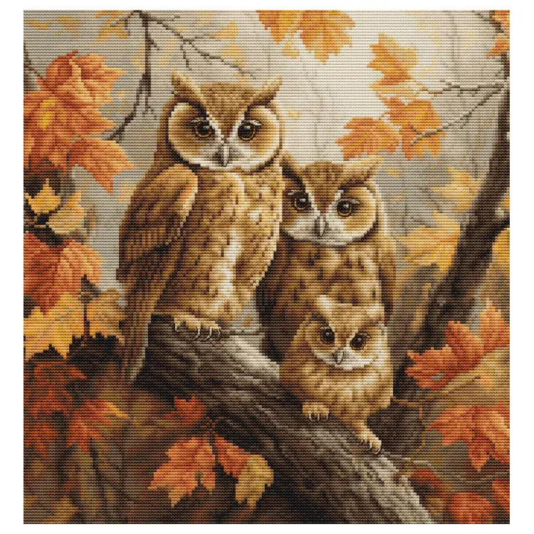 LUCA-S THE OWLS FAMILY