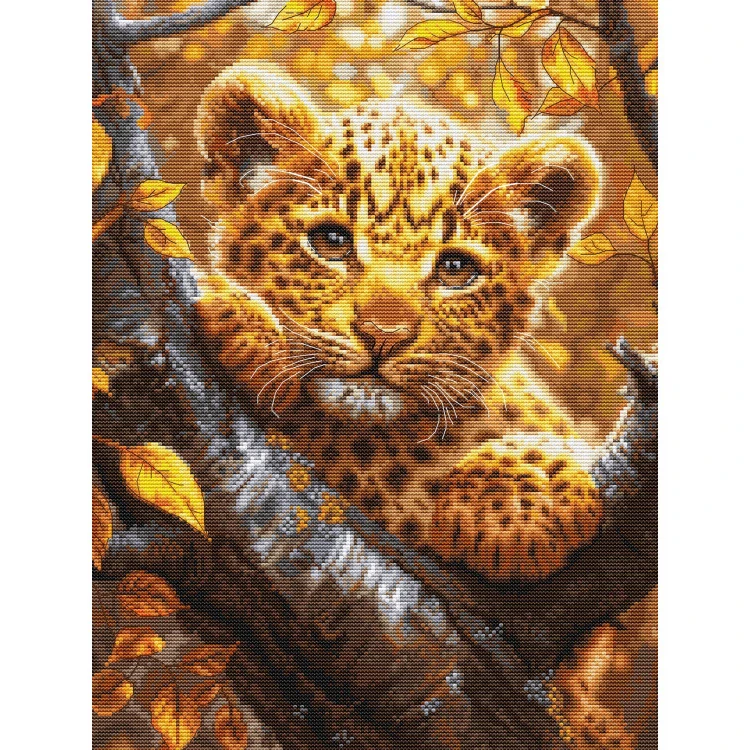 LUCA-S Leopard Cub at Sunrise