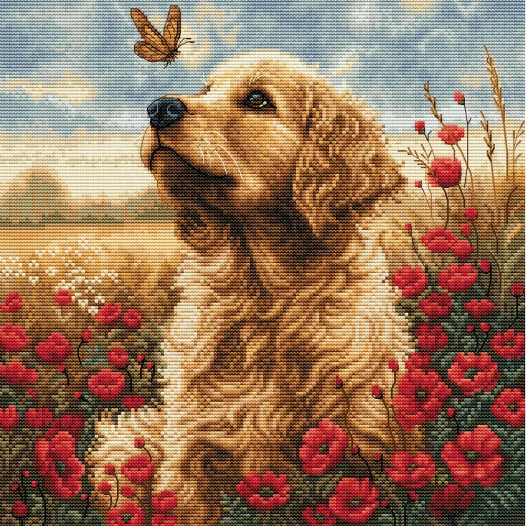 LUCA-S Meeting in the Flowering Field
