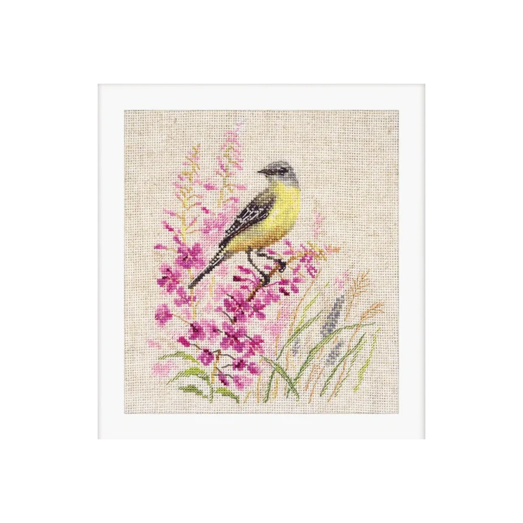 ALISA Wagtail