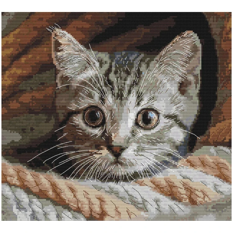 ANDRIANA Whiskered Spy W-10