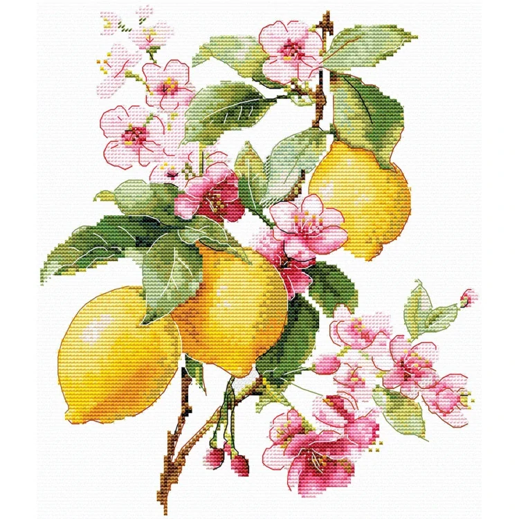 ANDRIANA Lemons L-28