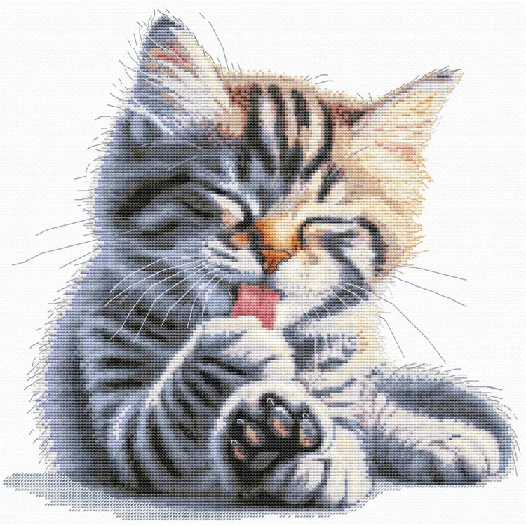 ANDRINA Soft paws M-46