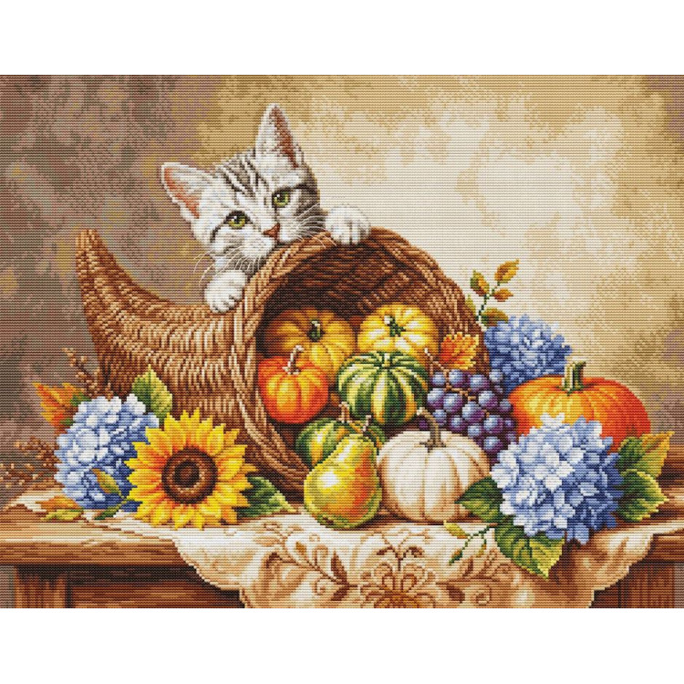 LUCA-S Autumn Harvest BU5113