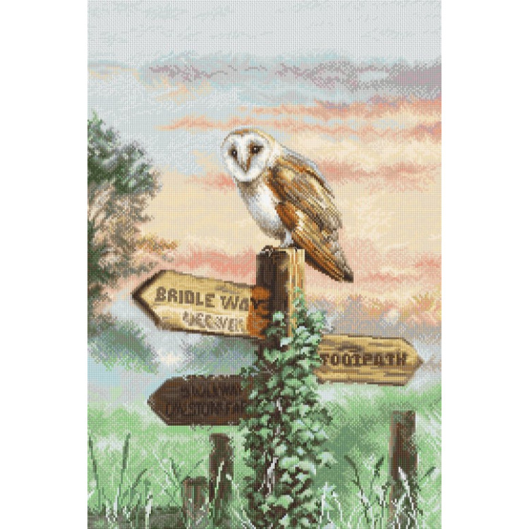 LETISTITCH BARN OWL