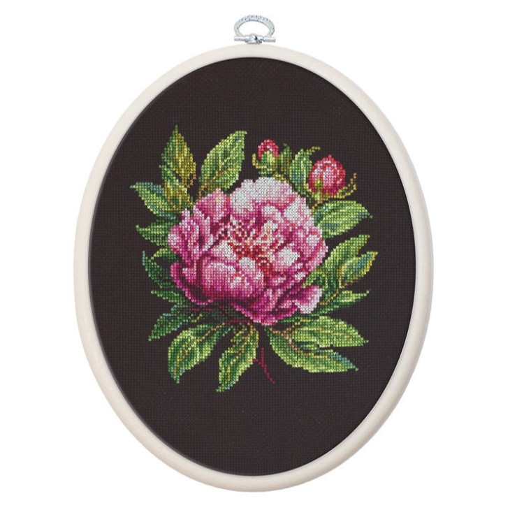 LUCA-S ’’PETER BRAND’’ PEONY