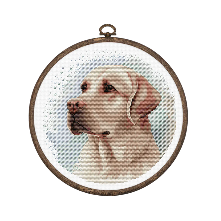 LUCA-S THE LABRADOR