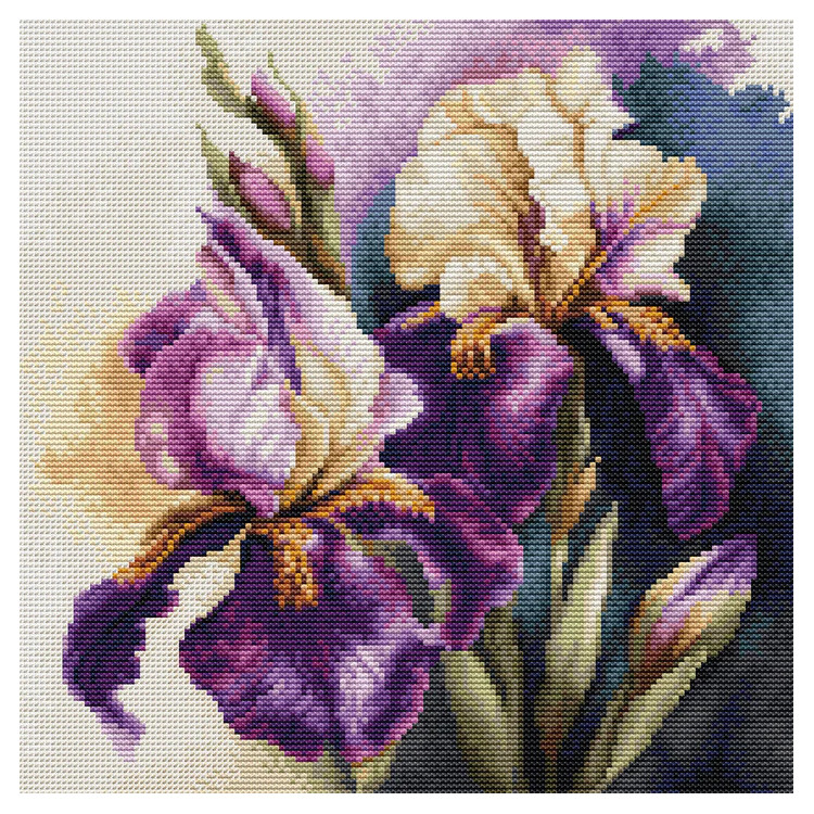 LUCA-S IRIS "BURGERMEISTER"