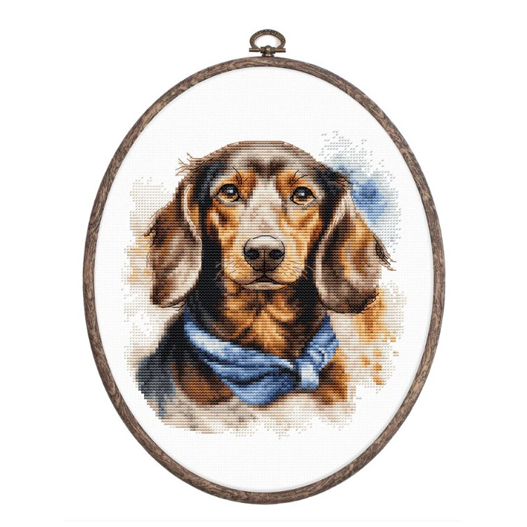 LUCA-S THE DACHSHUND