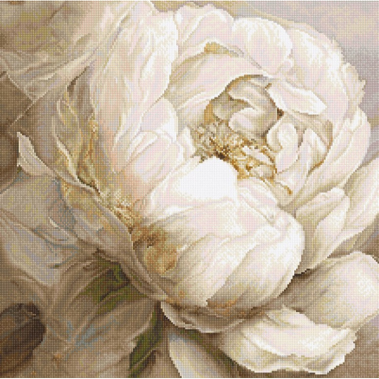 LETISTITCH PEONY POSES 