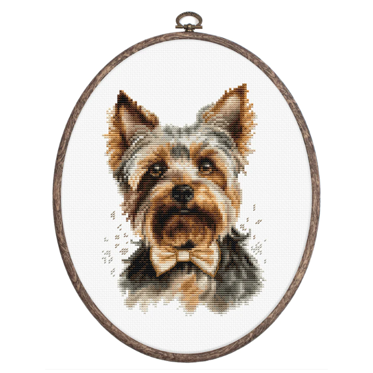 LUCA-S THE YORKSHIRE TERRIER