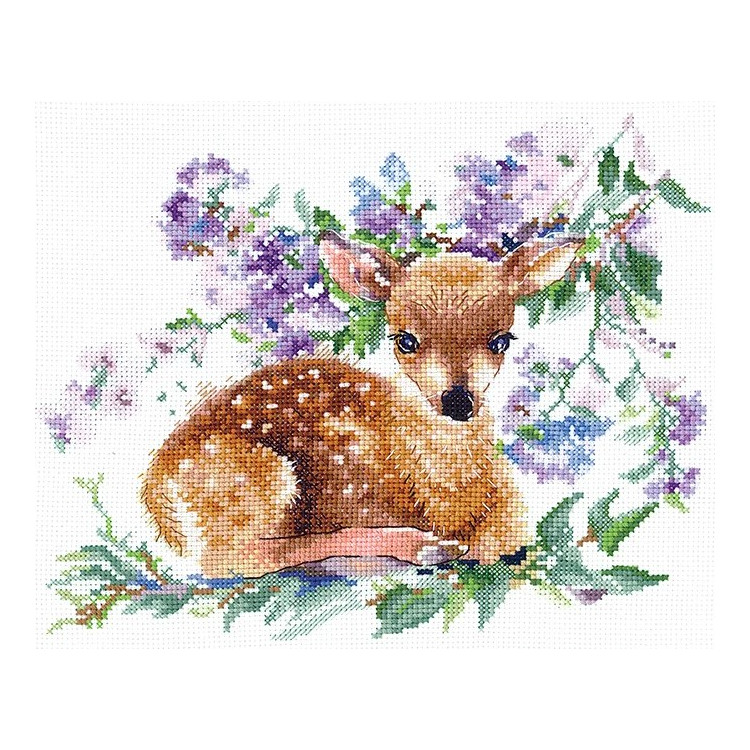 ANDRIANA FAWN 