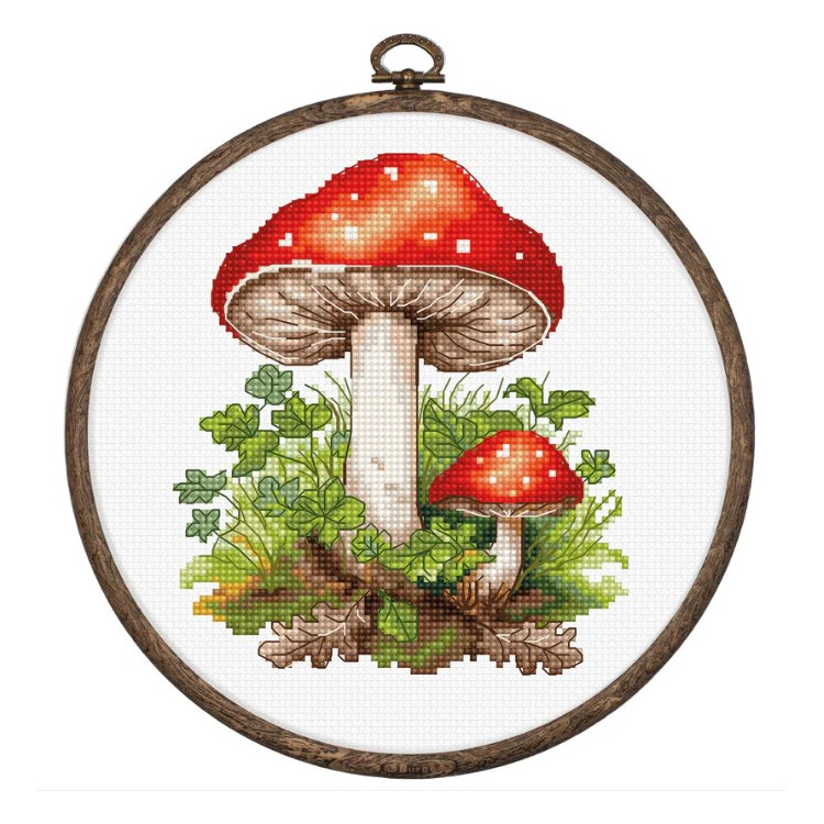 LUCA-S AMANITA MUSCARIA