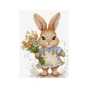 LUCA-S THE HAPPY BUNNY