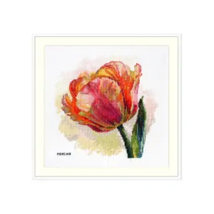 MEREJKA PARROT TULIP
