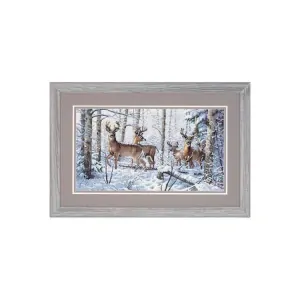 DIMENSIONS WOODLAND WINTER