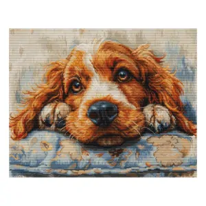 LUCA-S COCKER SPANIEL