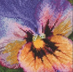 THEA GOUVERNEUR PANSY
