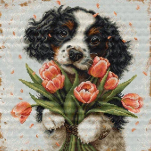 LUCA-S The Cocker Spaniel Puppy