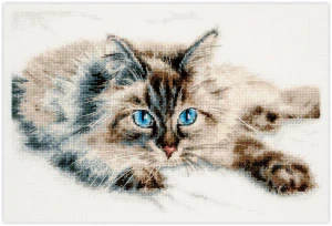 MAGIC NEEDLE 260-170 "Fluffy Happiness"