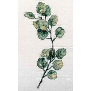 PANNA Eucalyptus branch