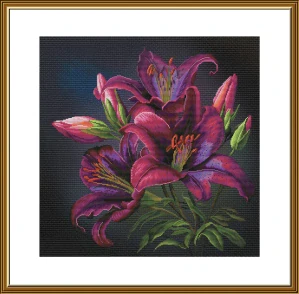 NOVA SLOBODA Night lilies 