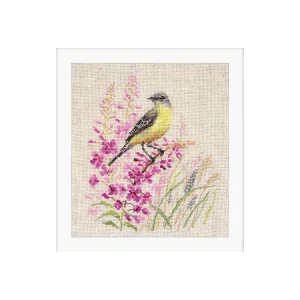 ALISA Wagtail