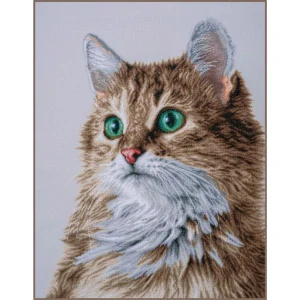 LANARTE The purrfect stare