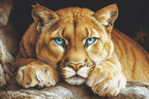 Luca-S GOLD The Wild Spirit