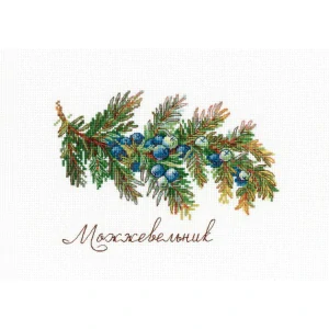 M.P.STUDIA Gifts of nature. Juniper NV-913