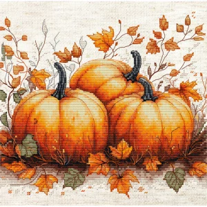 LUCA-S Autumn Pumpkin B1434