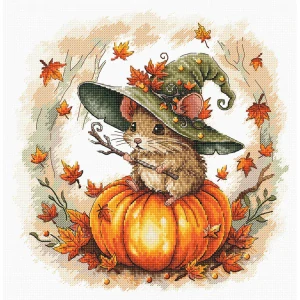 AVA STITCH Little Wizard P153