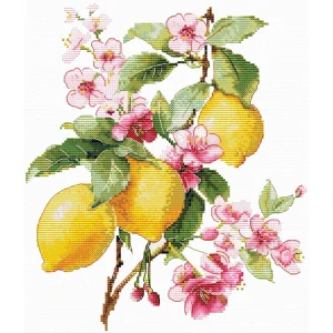 ANDRIANA Lemons L-28