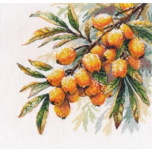 OVEN A sprig of sea buckthorn 1734