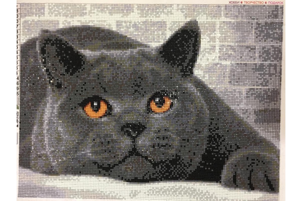 DIAMOND PAINTING BRITISH CAT