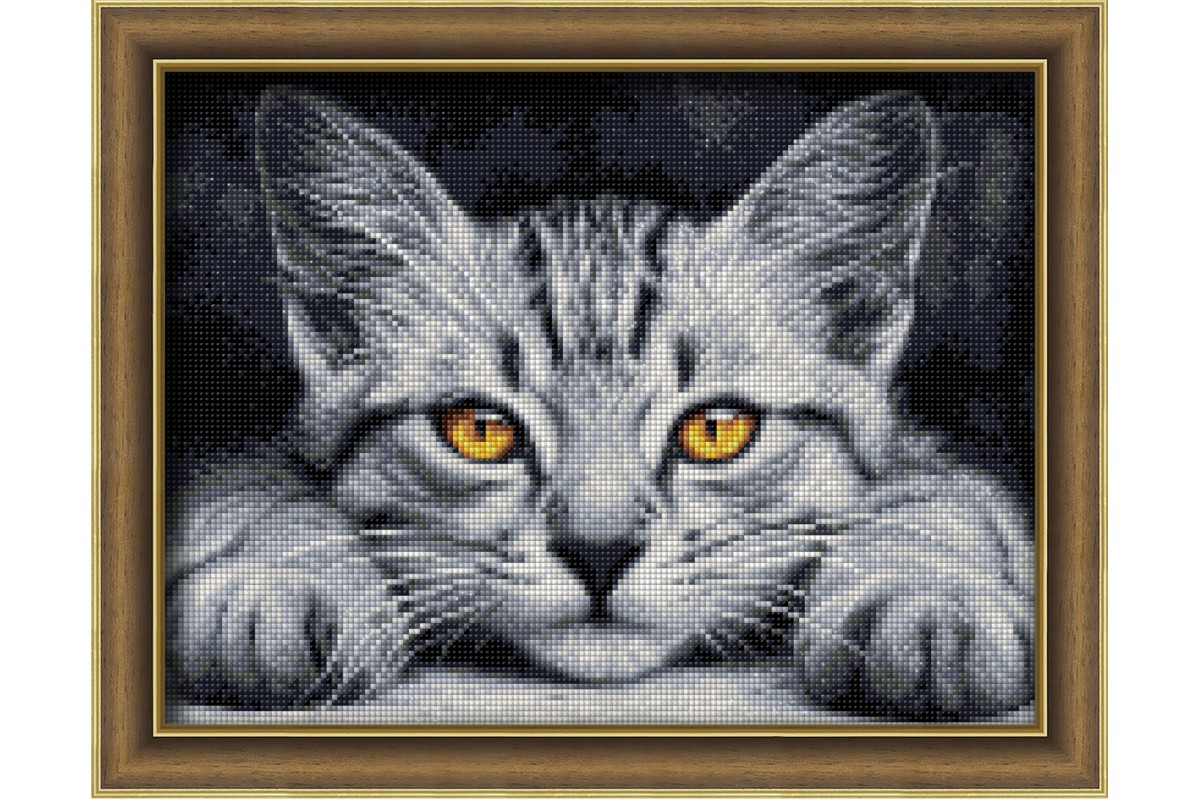 DIAMOND PAINTING KIT YELLOW-EYED KITTEN