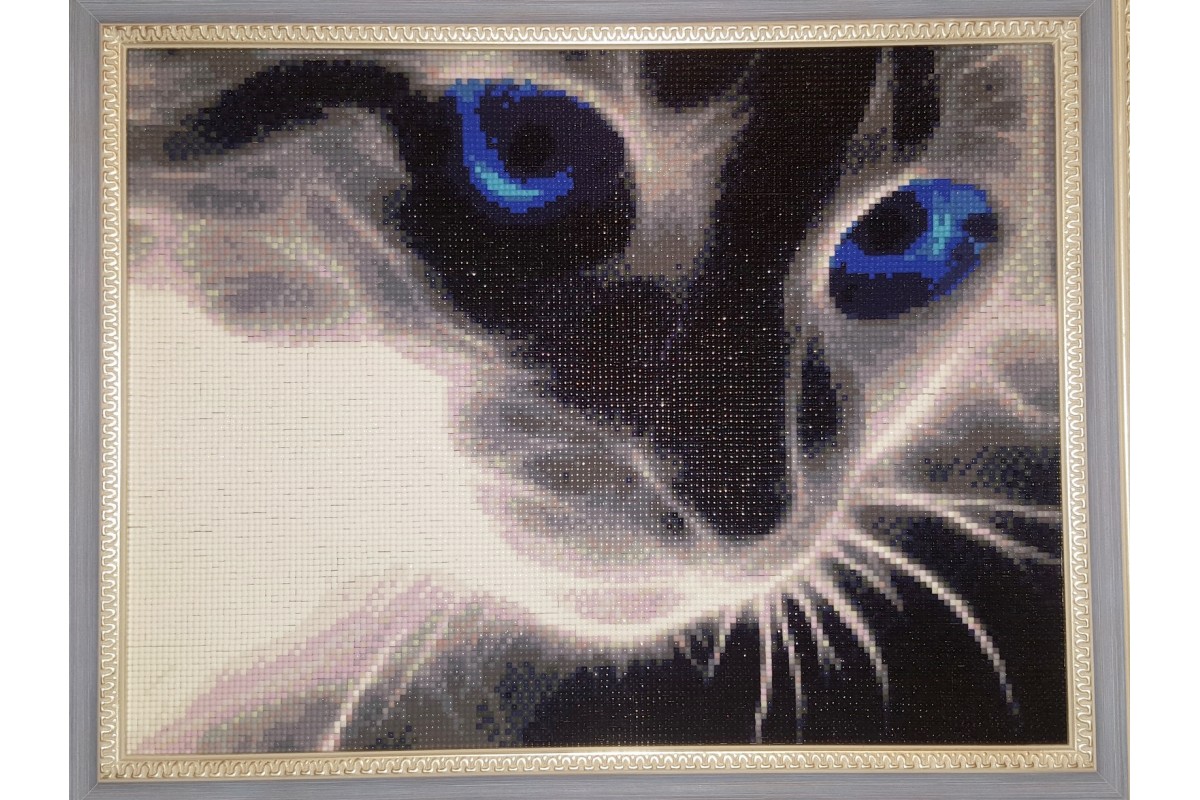 DIAMOND PAINTING KIT CAT'S LOOK